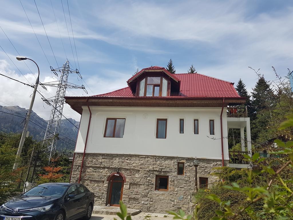 Casa Olguta Apartment Sinaia Exterior photo